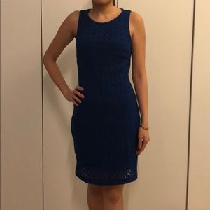 Zara Trafaluc Cobalt Blue Lace Midi Dress
